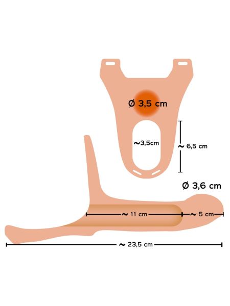 Proteza penisa pusta strapon sztuczny członek 16cm - 14
