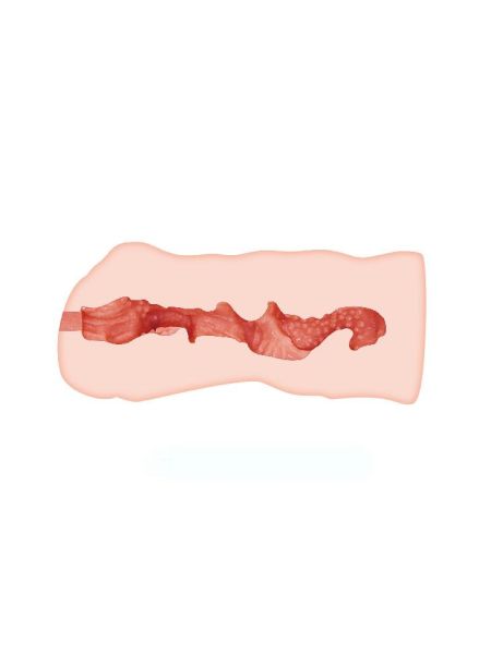 Podręczny masturbator miękka sztuczna skóra wagina - 5