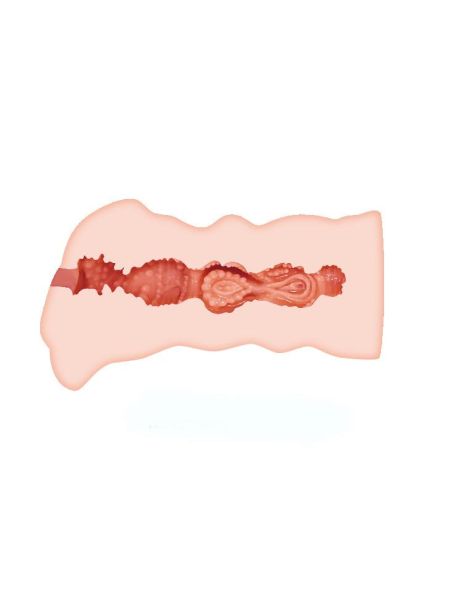 Naturalna wagina ze sztucznej skóry masturbator - 5