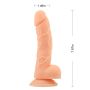 Realistyczne dildo penis jądra przyssawka sex 20cm Cielisty - 3