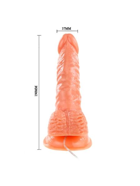 Duży wibrujący żylasty realistyczny penis z przyssawką - 6