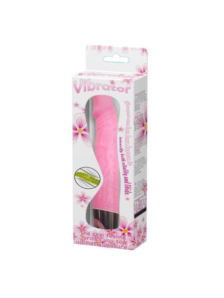 BAILE - Vibrator MULTI- SPEED