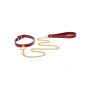 O-Ring Collar and Chain Leash - 5