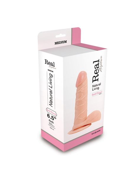 Penis z przyssawką jądrami realistyczne dildo 19 cm