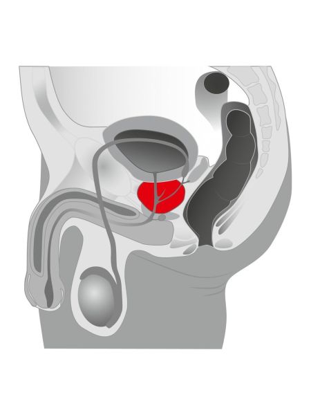 Wibrujący masażer prostaty korek analny silikon - 3