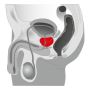 Wibrujący masażer prostaty korek analny silikon - 4