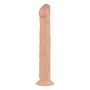 Dildo-Shawn Realistic Dildo - 2